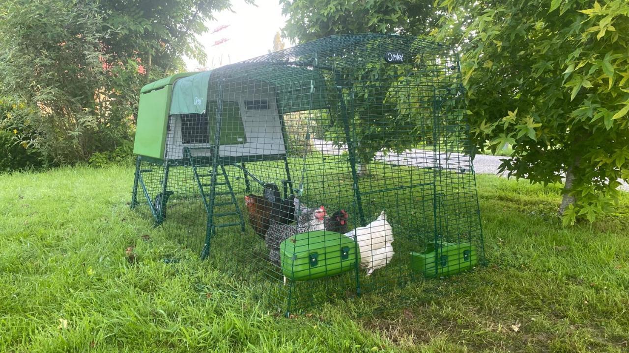 Willa Les Mouettes - La Paix Du Bord De Seine Berville-sur-Seine Zewnętrze zdjęcie